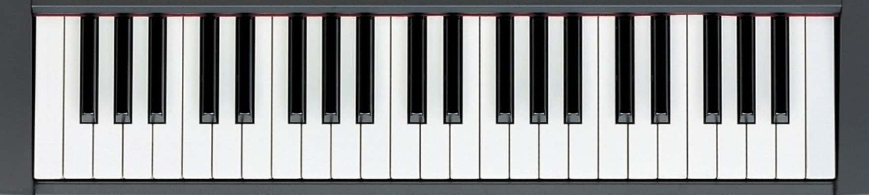 The piano keyboard